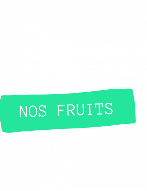 Nos Fruits