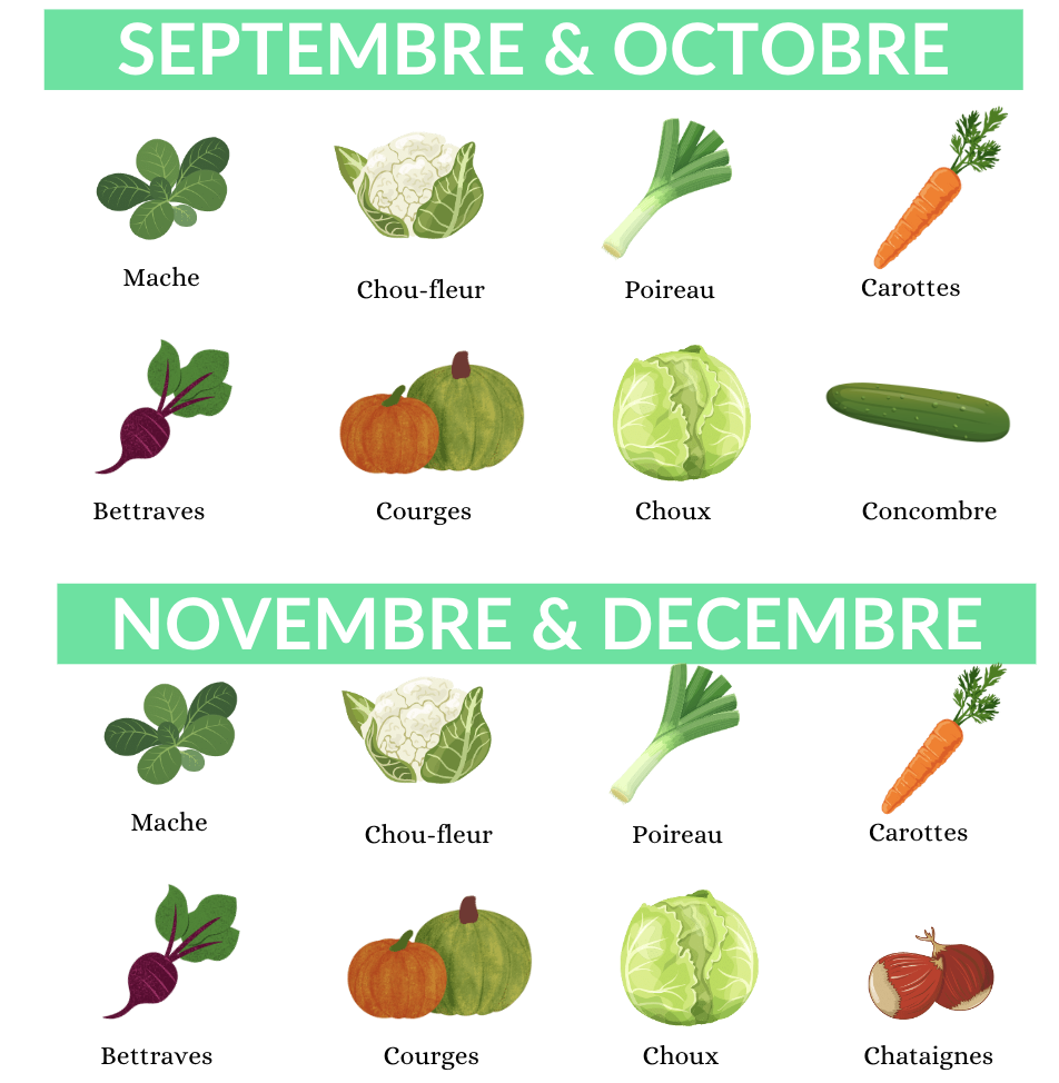 Calendrier légumes Septembre